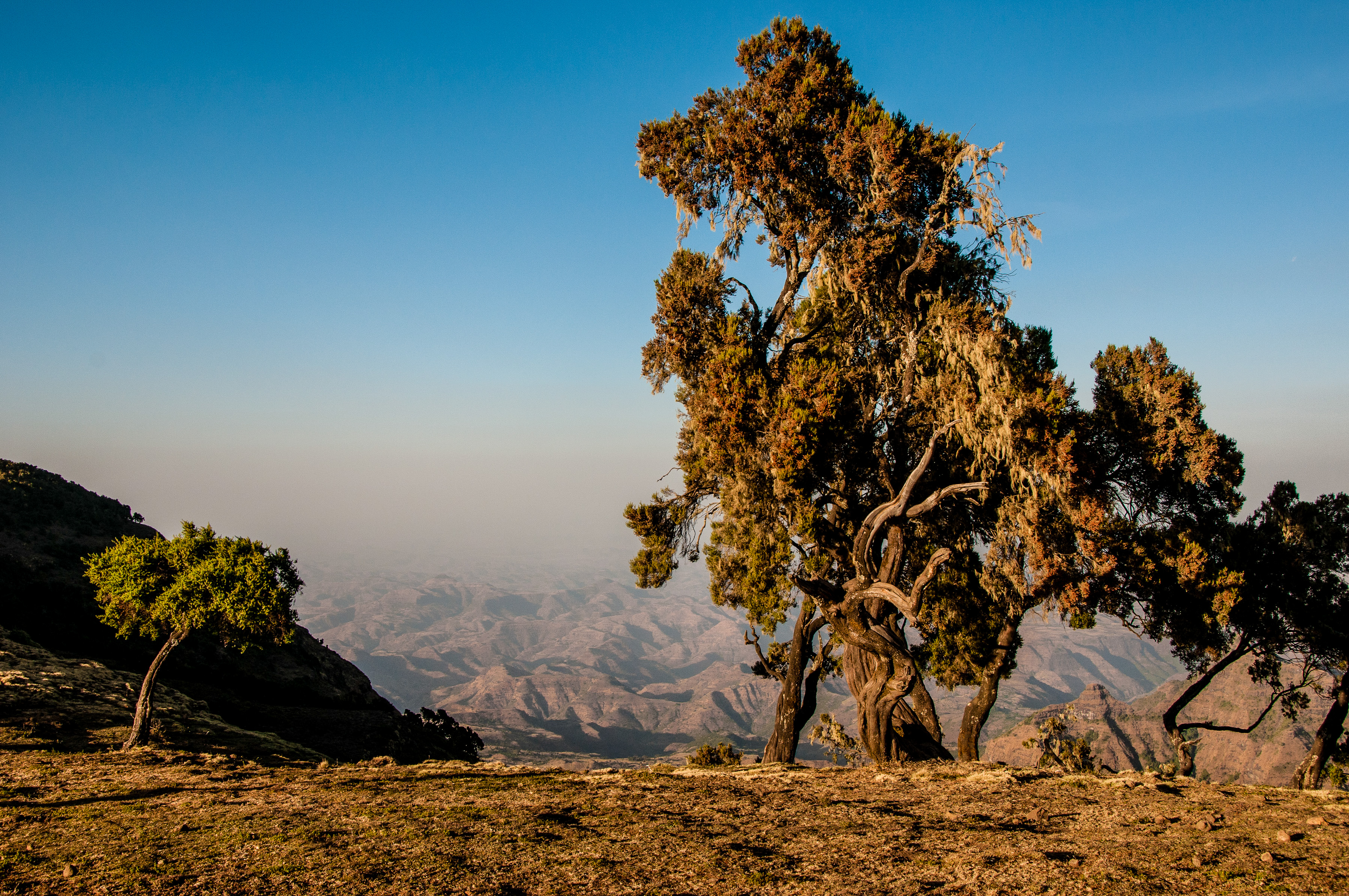 Simien Mountain