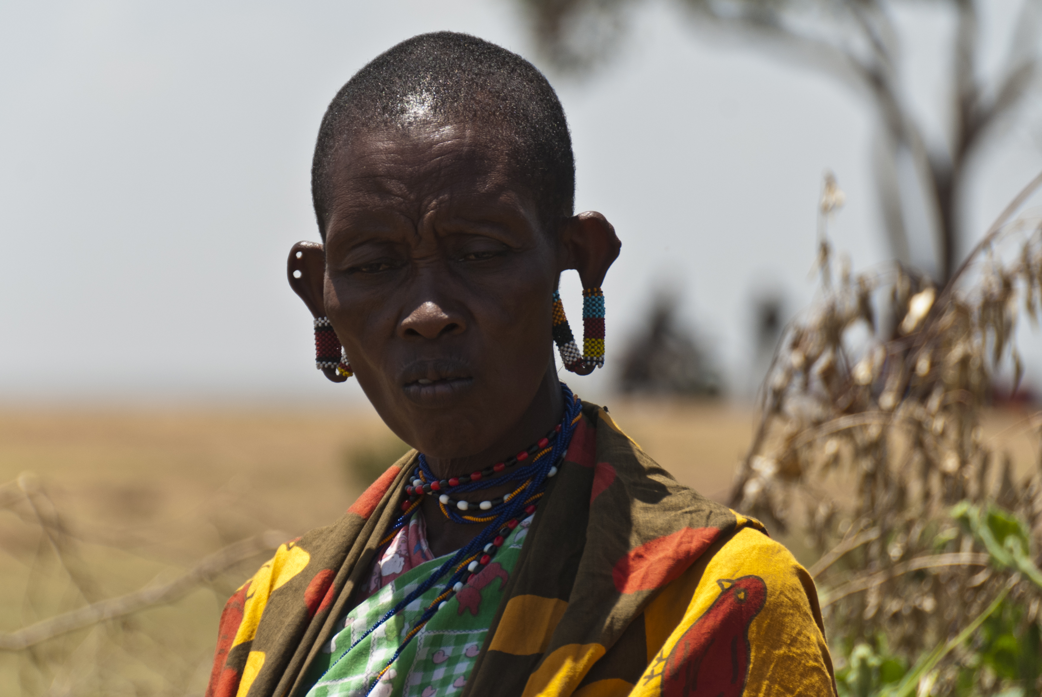Massai