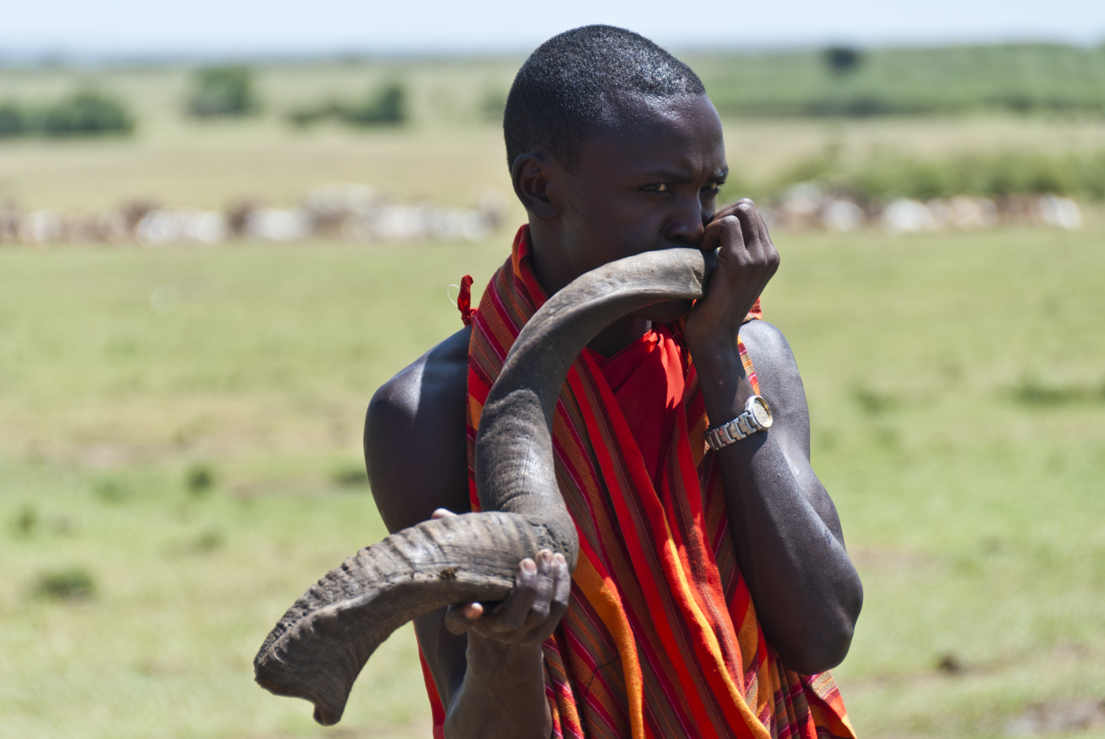 Massai Krieger