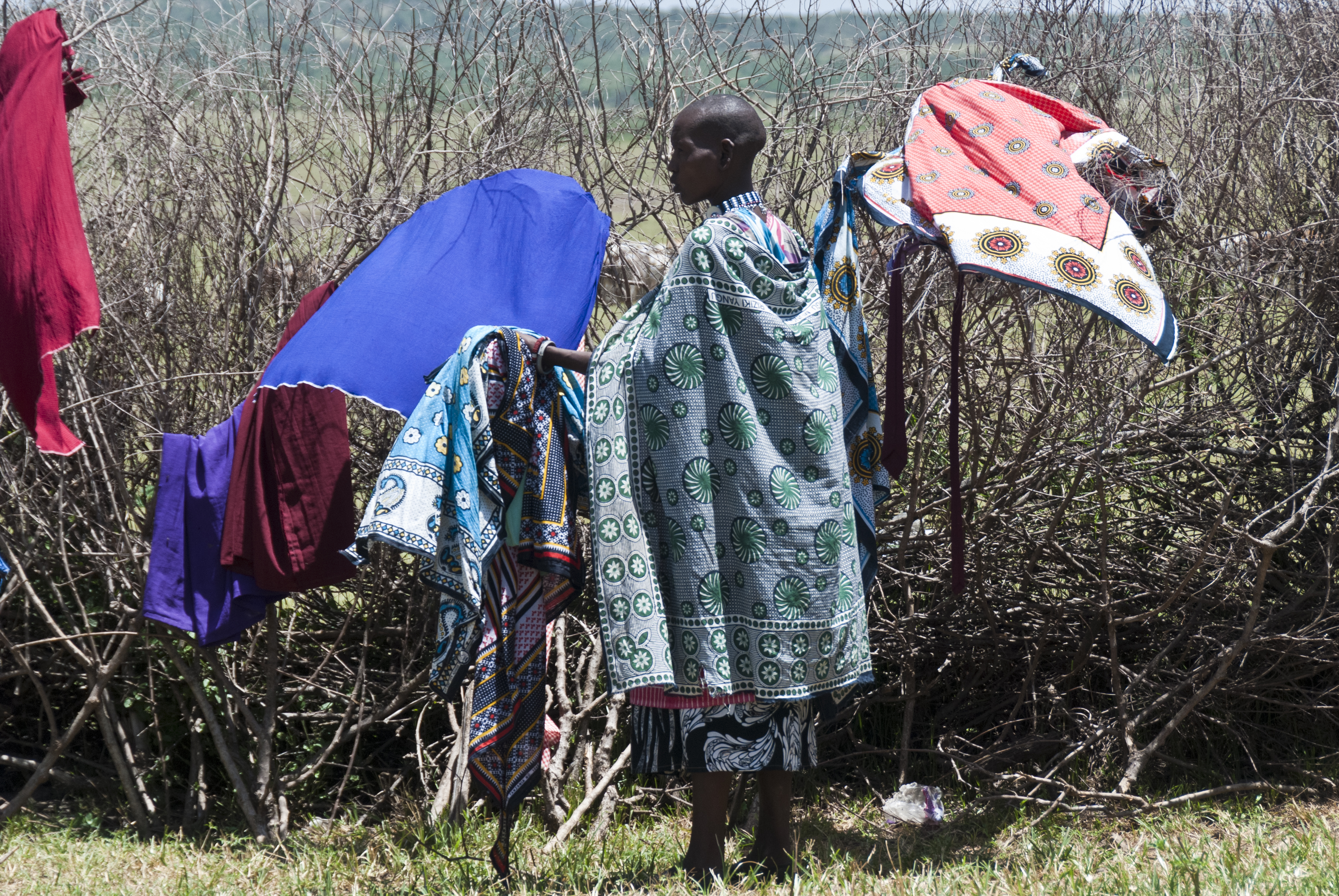Massai