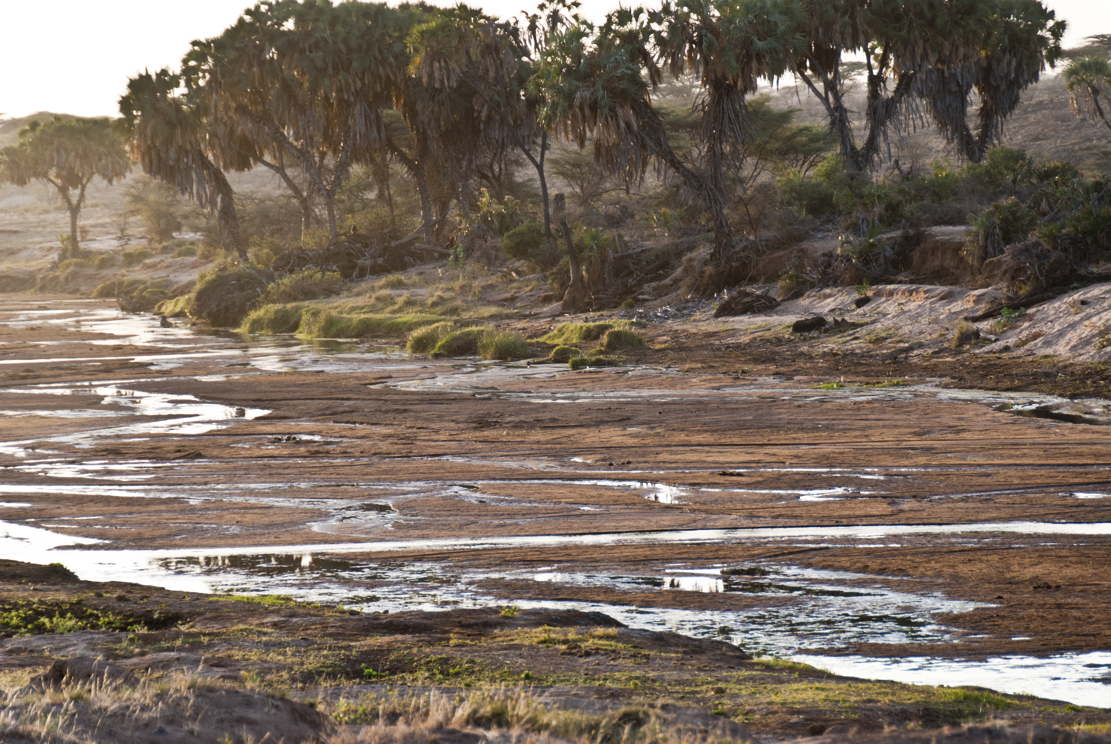 Blick auf den Uaso Nyero
