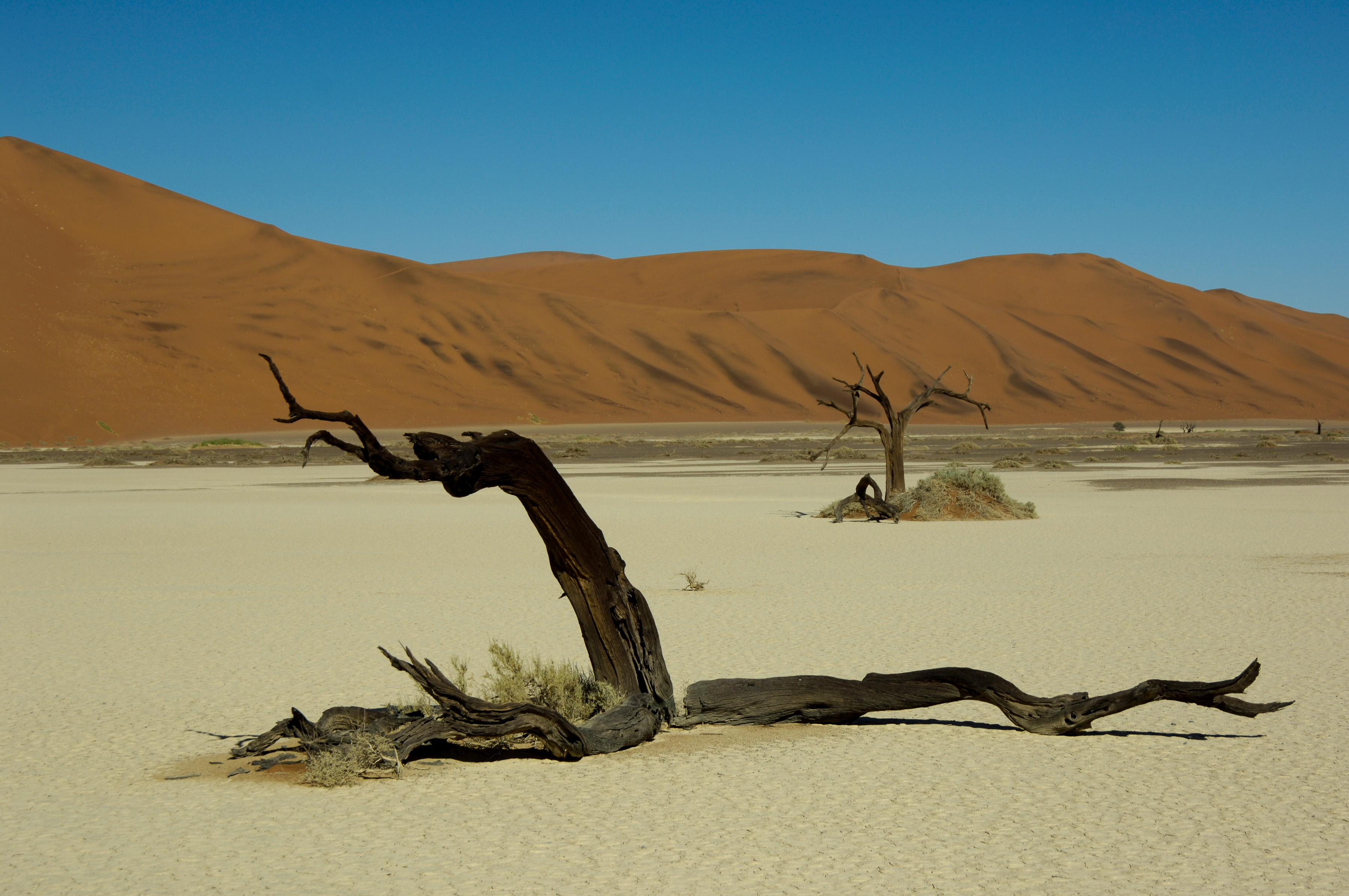 Hidden Vlei - Sossusvlei