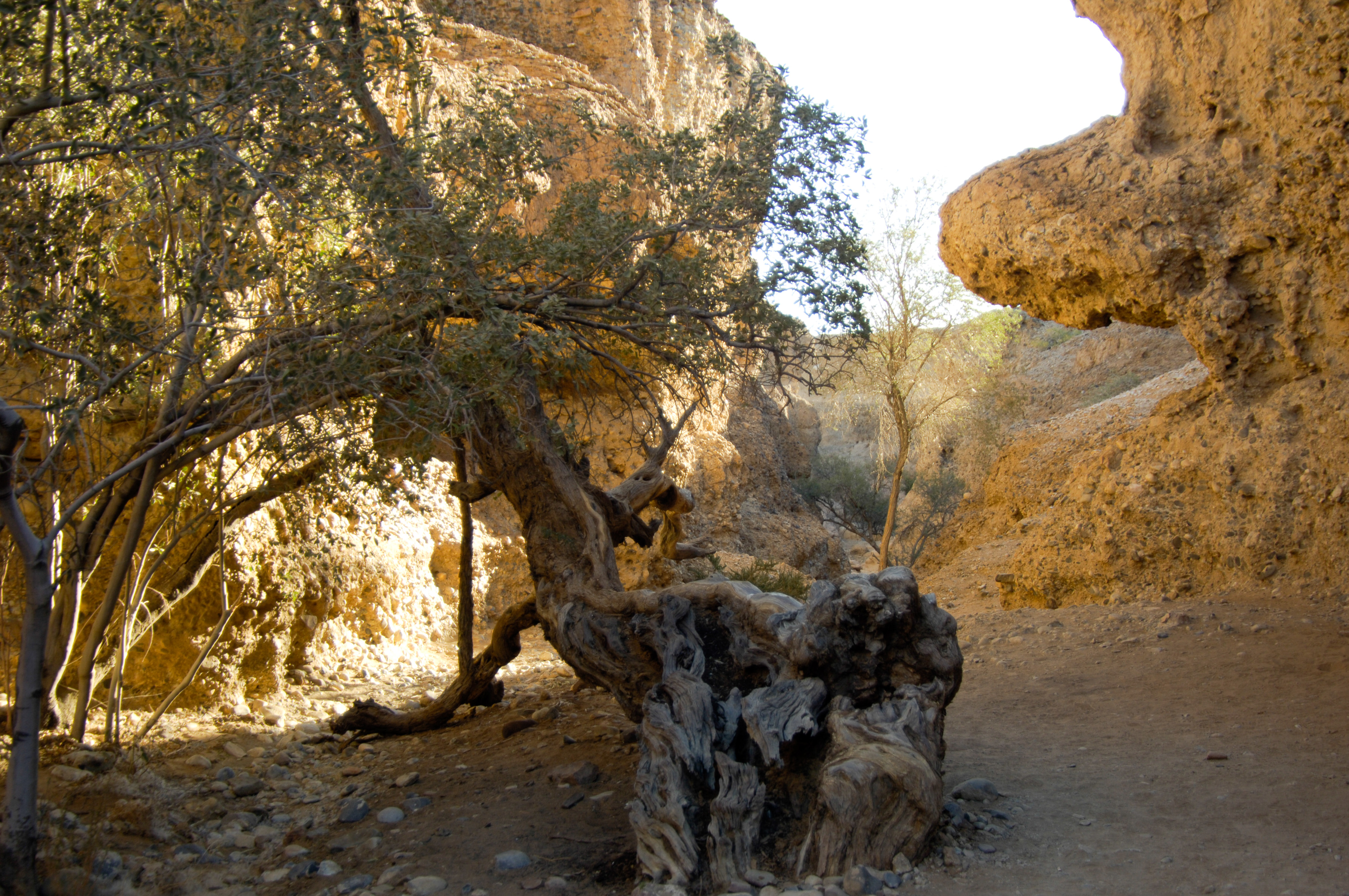 Sesriem Canyon - Namib Naukluft Park