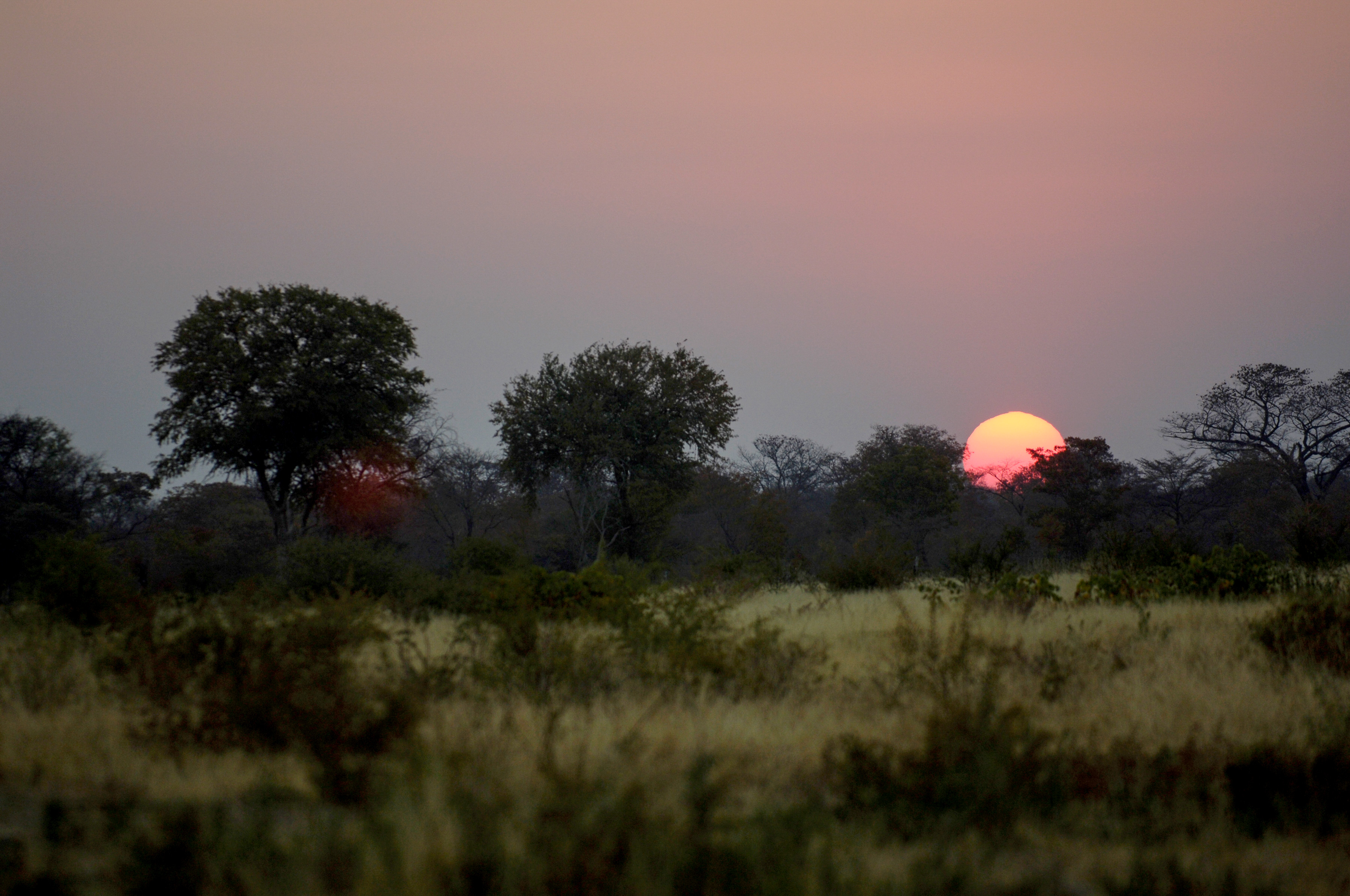 Abendstimmung im Mahango N.P.