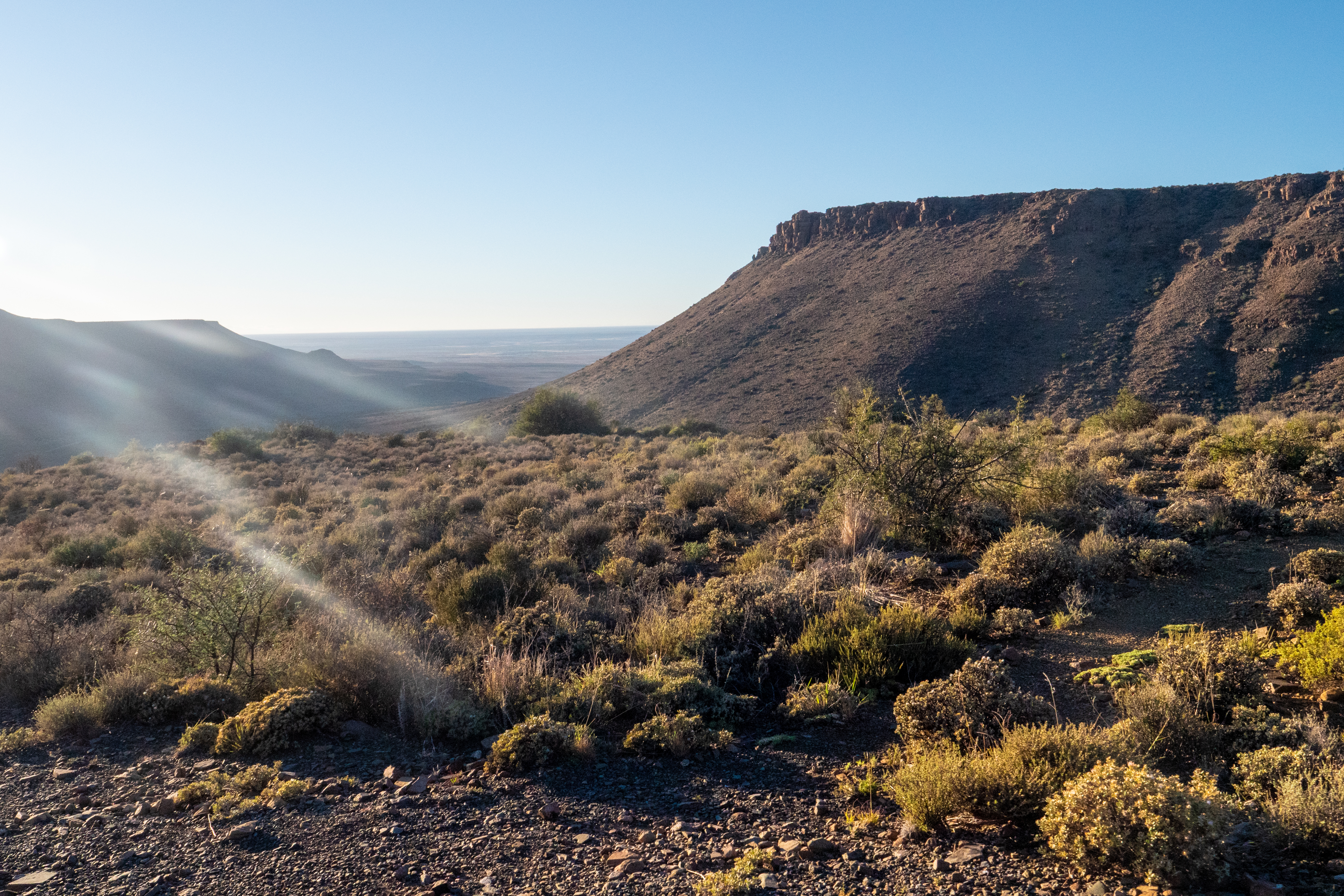 Karoo 155