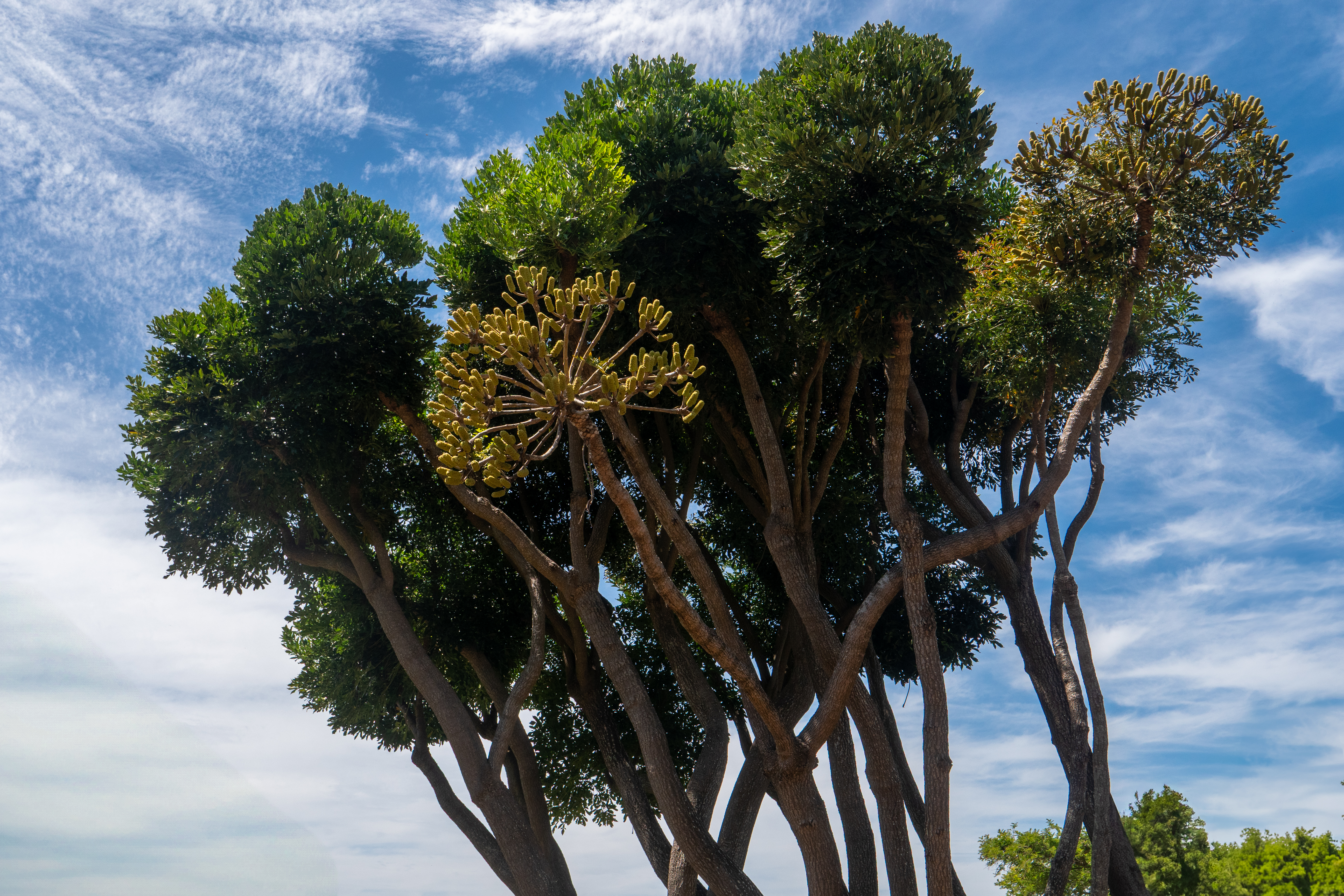 Botanischer Garten