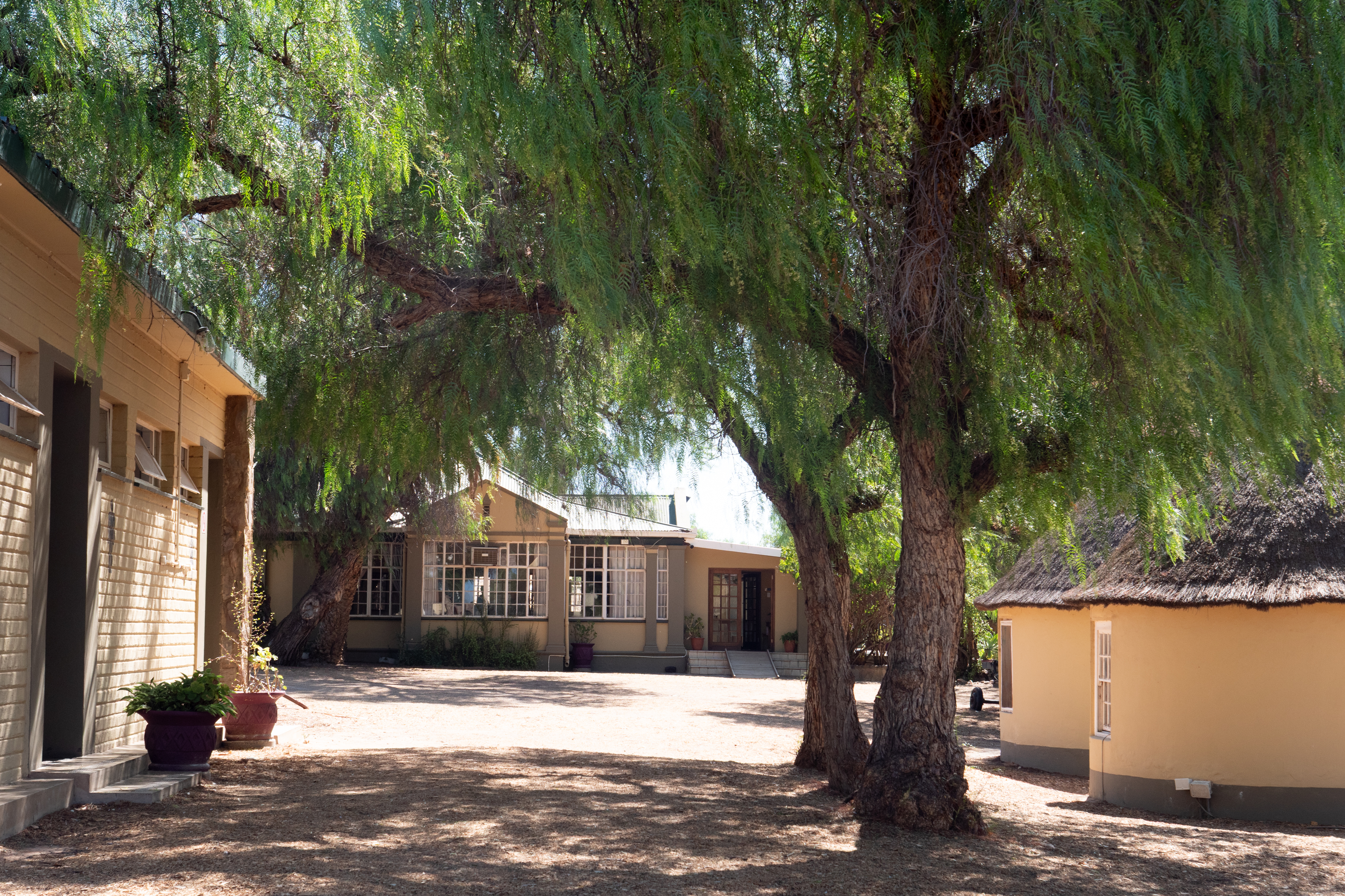 Straussenfarm "High gate" bei Outshoorn