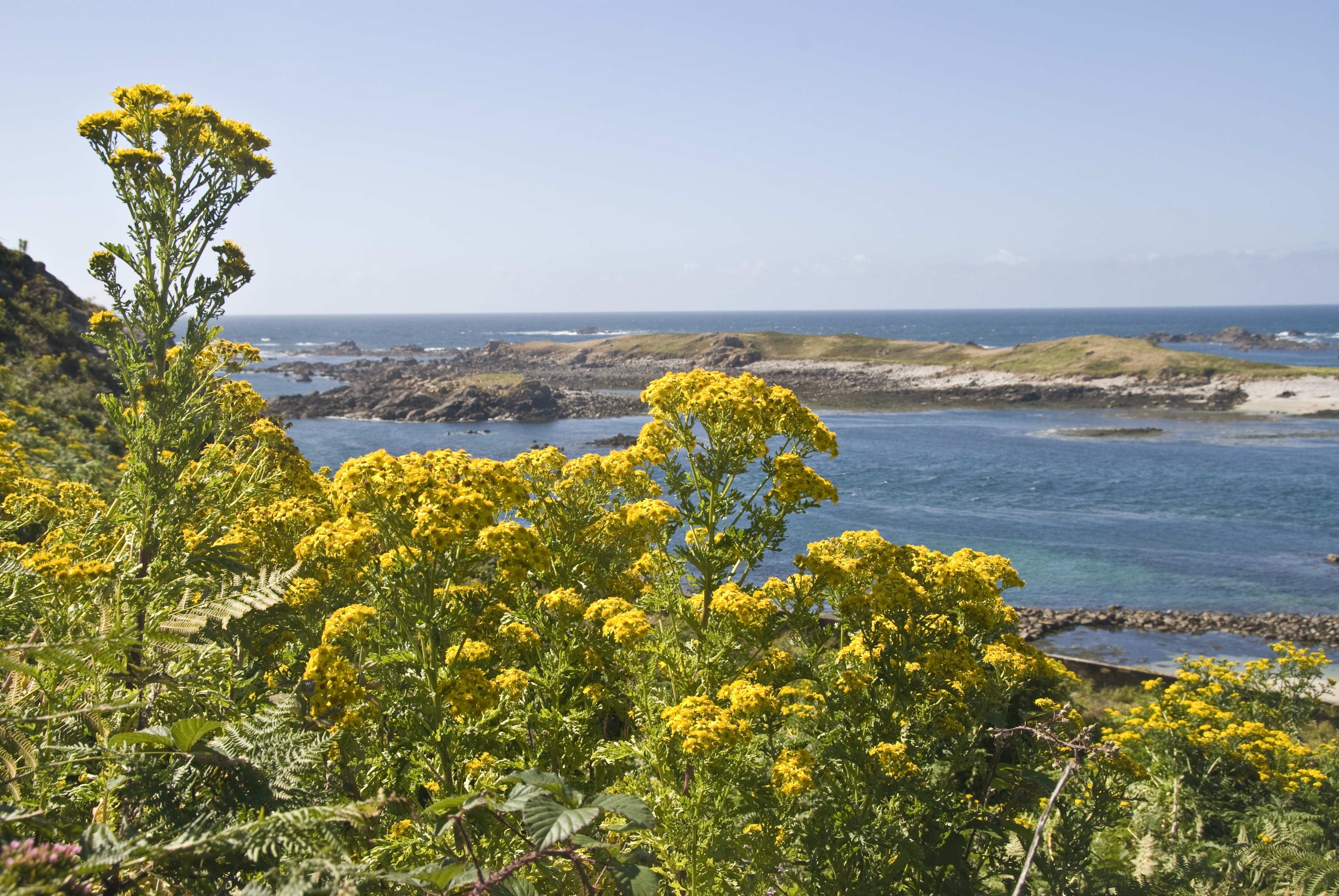 Iles aux Moine - Sept Iles