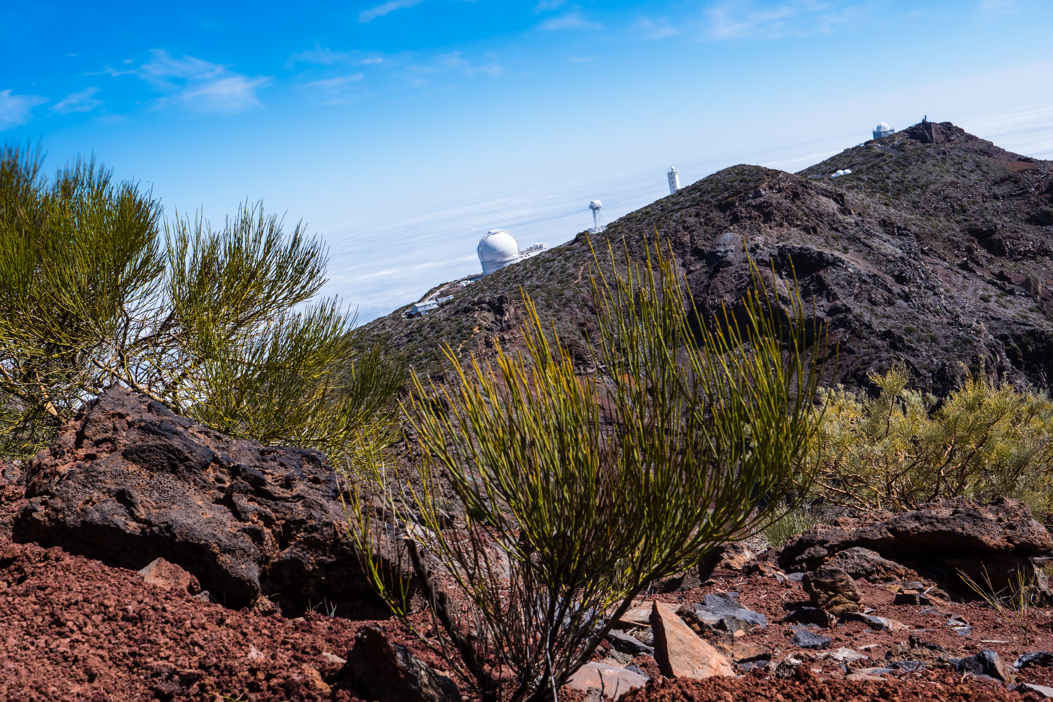 Norden, Roque de los Muchachos