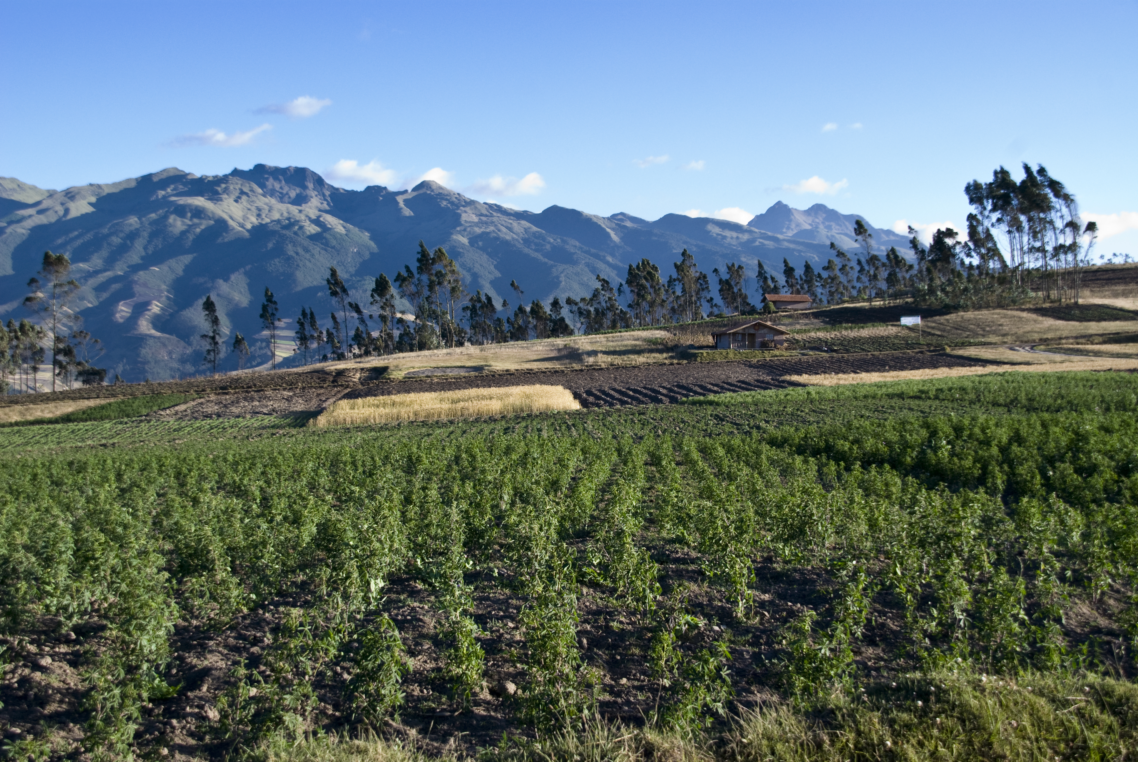 Umgebung Otavalo